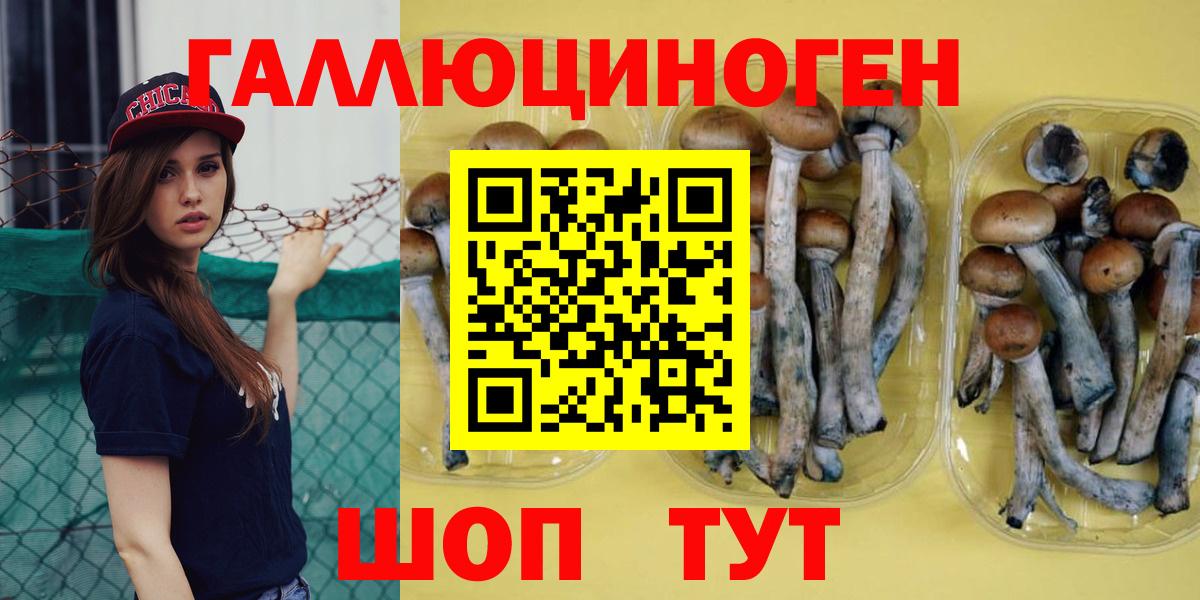 Галлюциногенные грибы MAGIC MUSHROOMS  Вход с VPN  Балашов 
